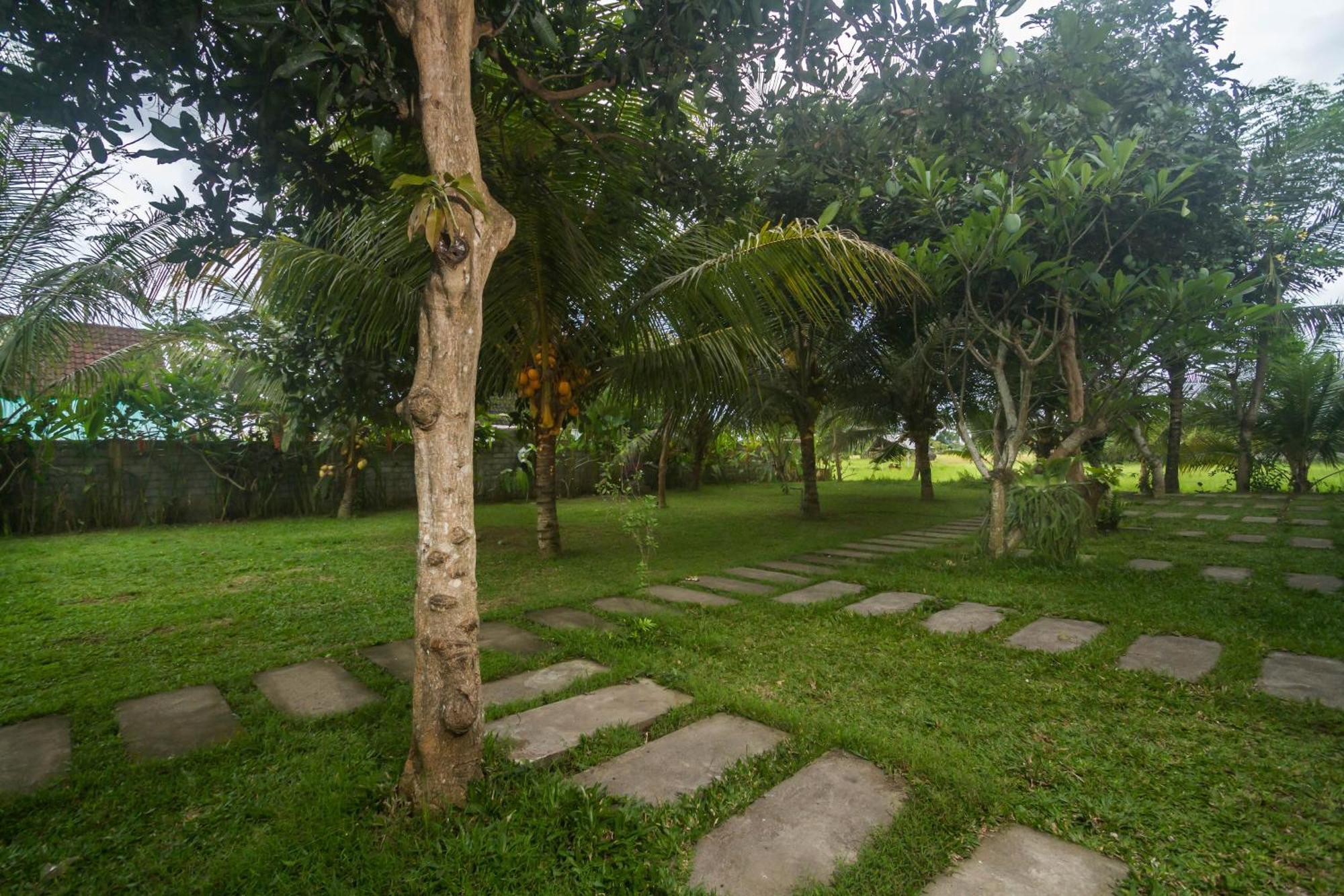 Parthi Puri * Ubud